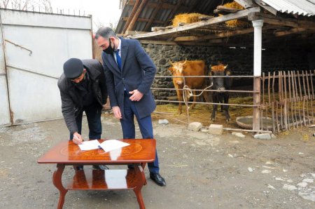 Oğuz və Qəbələdə şəhid ailələri və qazilər üçün təsərrüfatlar yaradıldı - FOTOLAR