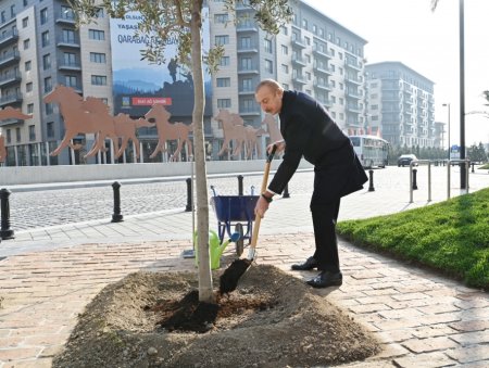 Prezident Qarabağ Atları Kompleksinin təməlini qoyub - FOTOLAR