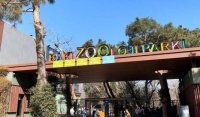 Bakı Zooparkı bu quruma birləşdirilir